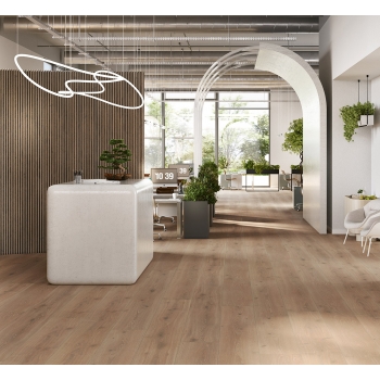 1371173 DĄB PAŁACOWY WAPNOWANY /TRENDTIME 6/ AC5
