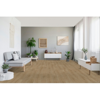 1426462 DĄB SANDED /BASIC 400/ AC4