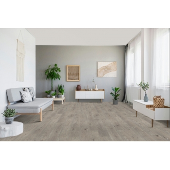 1593798 DĄB NATURALNY SZARY /BASIC 400/ AC4