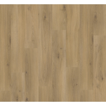 1593813 DĄB HORIZONT NAUTRAL /BASIC 400/ AC4