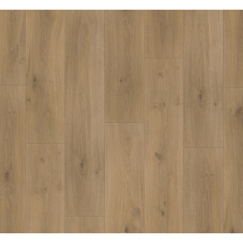 1593845 DĄB HORIZON NATURAL /BASIC 600/ AC4