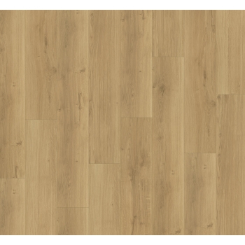 1730772 DĄB DUCH NATURALNY /MODULAR ONE/ AC4