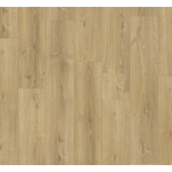 1744352 DĄB NOVA LIMED /BASIC 600/ AC4