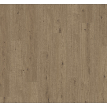 1744546 DĄB ATMOSPHERE UMBER /MODULAR ONE/ AC4