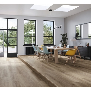 1748186 DĄB STUDIOLINE MACCHIATO /BASIC 600/ AC4