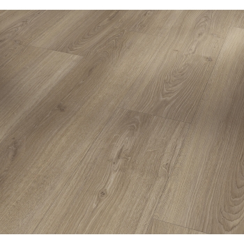 1748186 DĄB STUDIOLINE MACCHIATO /BASIC 600/ AC4