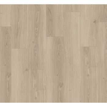 1748187 DĄB STUDIOLINE PURE /BASIC 600/ AC4