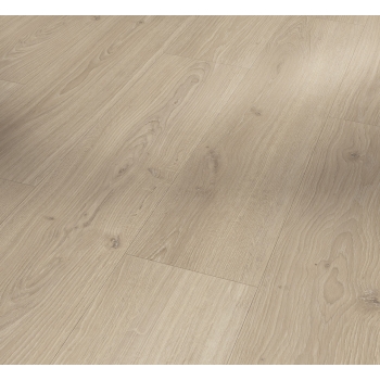 1748187 DĄB STUDIOLINE PURE /BASIC 600/ AC4