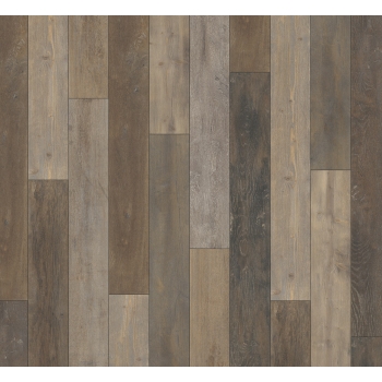 1748706 SHUFFLEWOOD WILD /TRENDTIME 1/ AC4