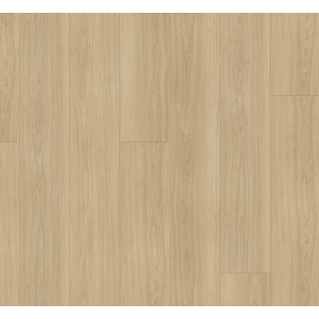 1748729 DĄB ARTEMIS NATURALNY /MODULAR ONE XL/ AC4