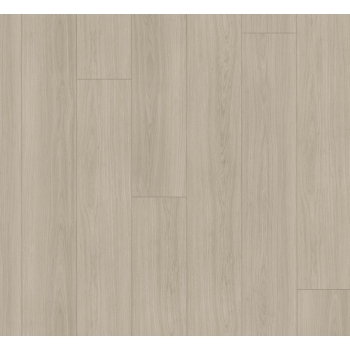 1748730 DĄB ARTEMIS PERŁOWY /MODULAR ONE XL/ AC4