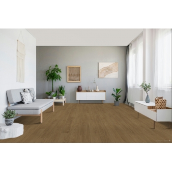 1748790 DĄB MONT BLANC BRĄZOWY /CLASSIC 1050/ AC4