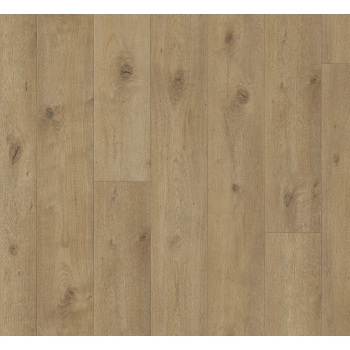 1748791 DĄB EVERGLADE NATURALNY /TRENDTIME 6/ AC5