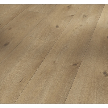 1748791 DĄB EVERGLADE NATURALNY /TRENDTIME 6/ AC5