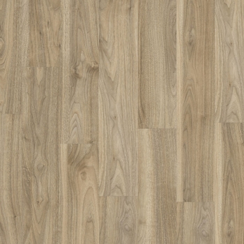 20226 ENGLISH WALNUT