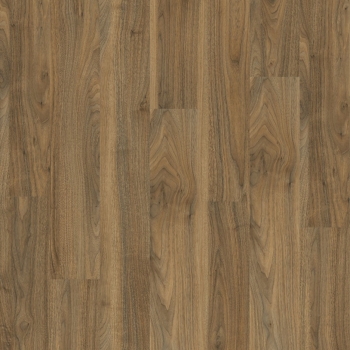 20565 ENGLISH WALNUT