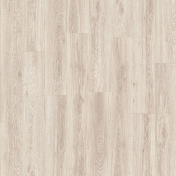 22205 BLACKJACK OAK