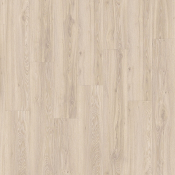 22210 BLACKJACK OAK