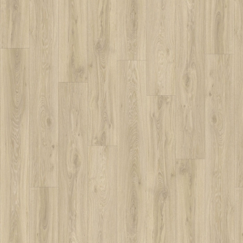 22215 BLACKJACK OAK