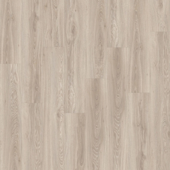 22218 BLACKJACK OAK