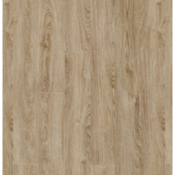 22231 MIDLAND OAK