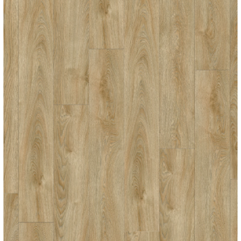 22240 MIDLAND OAK