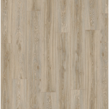 22246 BLACKJACK OAK