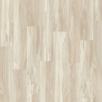 22248 MARSH WOOD