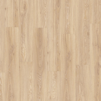22330 BLACKJACK OAK