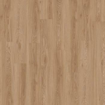 22450 BLACKJACK OAK