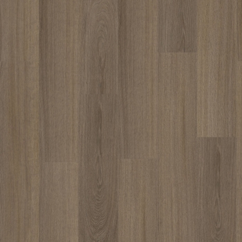 22877 GLYDE OAK