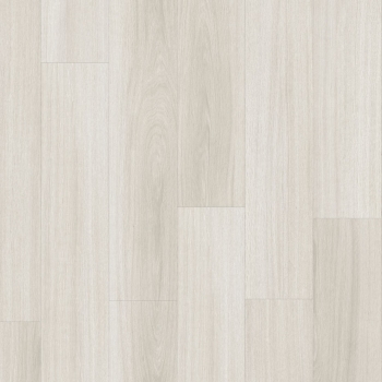 22916 GLYDE OAK