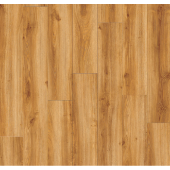 24438 CLASSIC OAK