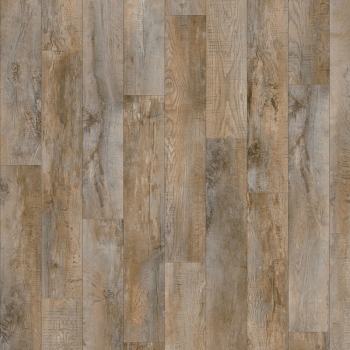 24958 COUNTRY OAK