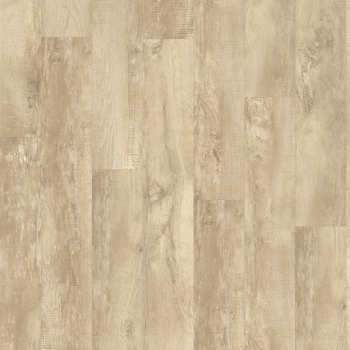 54225 COUNTRY OAK
