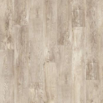 54285 COUNTRY OAK