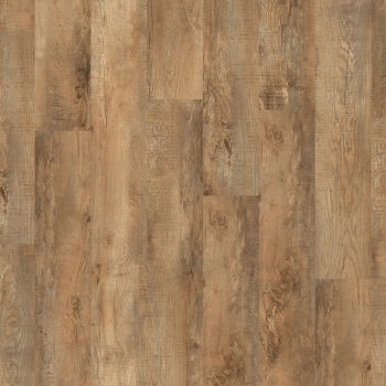 54852 COUNTRY OAK