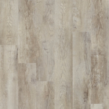 54925 COUNTRY OAK