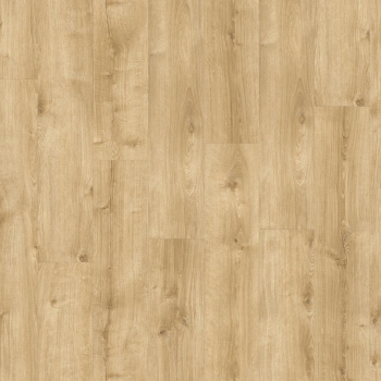 87372 GALWAY OAK