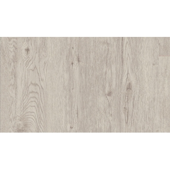 Panele Winylowe Starfloor Click 55 - ALPINE OAK - WHITE PLUS