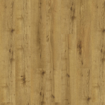 DĄB SABU /JAZZ/ 4+1mm