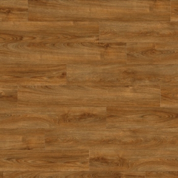 22821 MIDLAND OAK