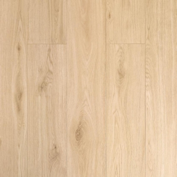 DĄB CELEST / PRESTIGO 10mm/ AC6