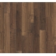 1473907 ORZECH /TRENDTIME 1/ AC4
