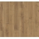 1517684 DĄB MONTEREY /CLASSIC 1050/ AC4