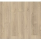 1567467 DĄB AVANT SZLIFOWANY /TRENDTIME 6/ AC5