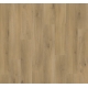 1593813 DĄB HORIZONT NAUTRAL /BASIC 400/ AC4