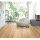 1730766 DĄB CZYSTY NATURALNY /MODULAR ONE/ AC4