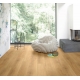 1730772 DĄB DUCH NATURALNY /MODULAR ONE/ AC4
