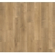 1744350 DĄB MONTEREY LIGHT /BASIC 400/ AC4